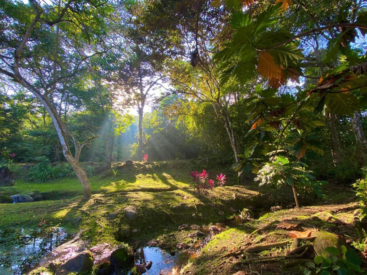 Buena Onda Jungle Lodge Ojochal Exteriör bild