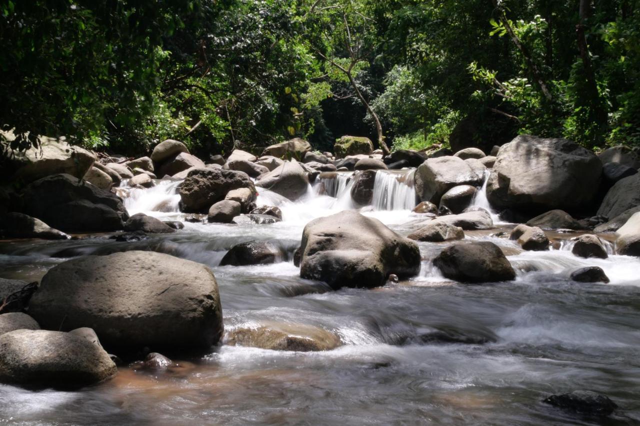 Buena Onda Jungle Lodge Ojochal Exteriör bild